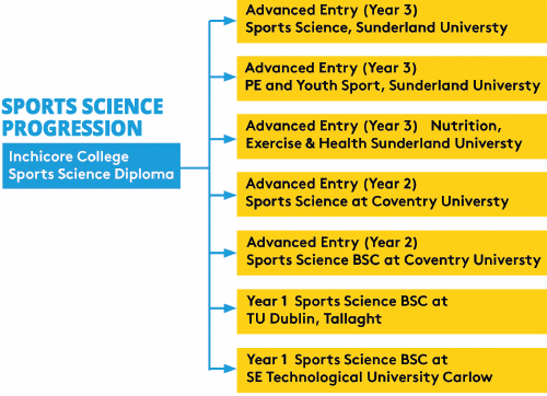 Sport and Exercise Science Course Progression